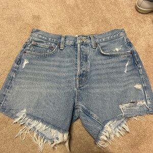 New Agolde Parker 27 Denim Short